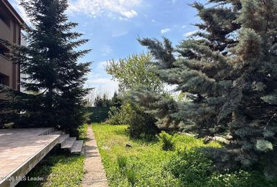 Casă individuală cu 6 camere cu Teren 711 Mp în Corbeanca - 3