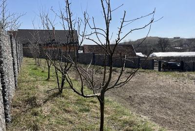 Spațiu comercial, în Săndulești - 8