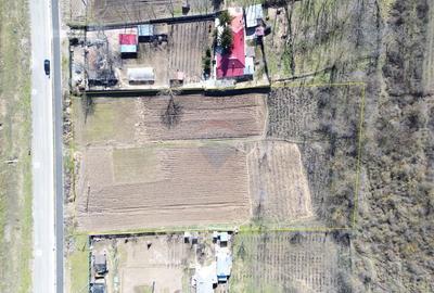 Teren Construcții intravilan de 5313 mp, în Odaia Manolache - 4
