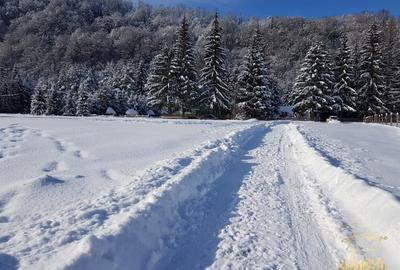 Cabana de lemn cu teren 760 mp de vanzare in Coada Lacului - Bihor - 21