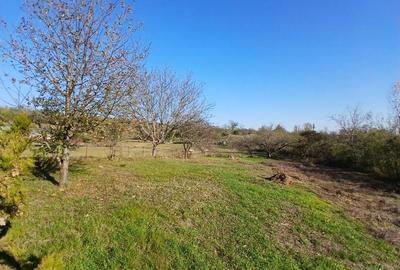 Casă cu 2 camere în Central - 7