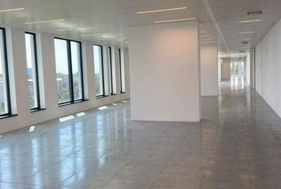 Spații de birou in cladirea @Expo - B1 & B2 - 1