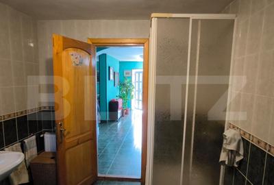 Casa 250 mp utili, 1450 mp teren, zona Balta Verde - 16