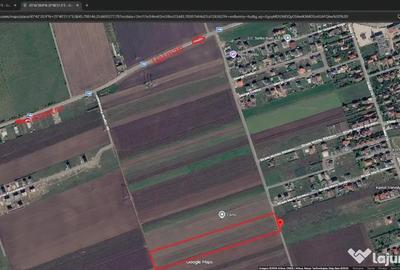 Teren de 5000 mp, în Hărman - 1