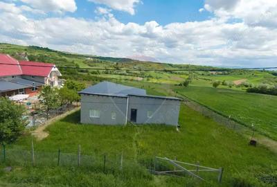 Casă cu 3 camere cu Teren 2042 Mp în Calea Mare - 13