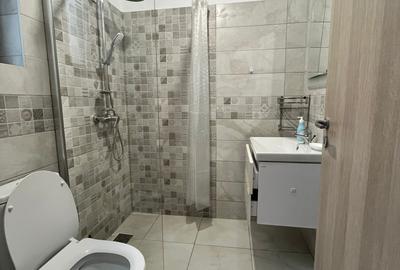 Duplex de inchiriat zona CUG-Valea Adanca - 19