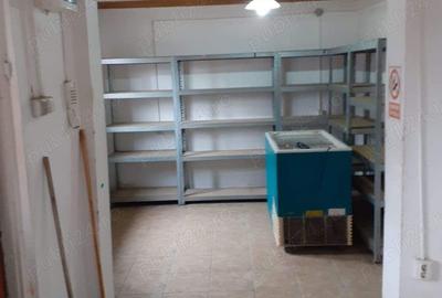 Casa de vinzare Zimbru Casa de vinzare Zimbru - 2