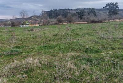 Teren de 2600 mp, în Apoldu de Sus - 5