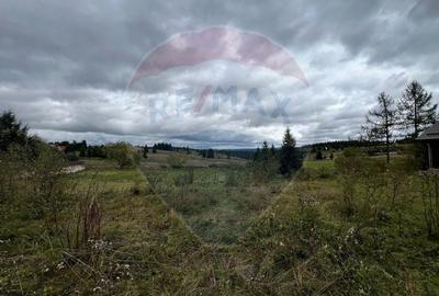 Teren 3,548mp, intravilan, Balcesti (Belis) - 3