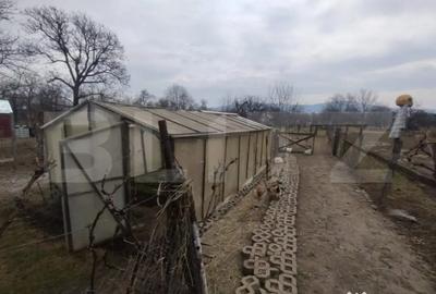 Casă cu 4 camere cu Teren 3000 Mp în Livezile - 1
