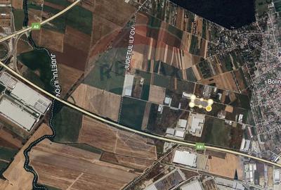 Spațiu comercial, în Bolintin-Deal - 4