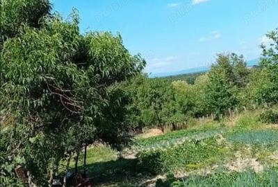 Casă cu 2 camere cu Teren 53 Mp în Tămășești