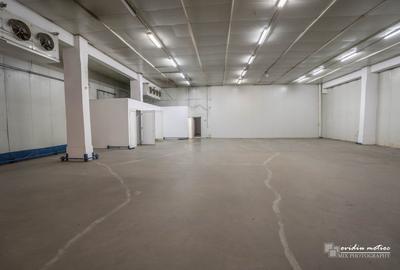 Spațiu industrial, de 590 mp, în Someșeni - 1