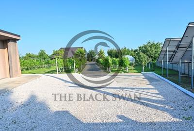 Casa cu piscina de vanzare | 3.300 mp teren | Urlati - Prahova - 23