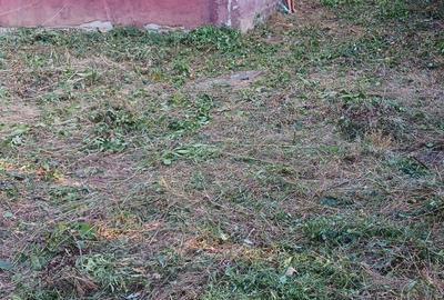 Casă cu 3 camere cu Teren 1116 Mp în Hotarele - 7