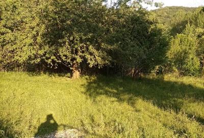 Teren de 864 mp, în Gurguiata - 2