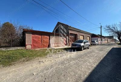 Casa cu 5 camere, 777 mp teren la MOLDOVA VECHE, ideal casa de vacanta - 10