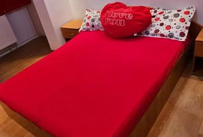 Vand apartament 4 cam micro 2 etajul 1 reabilitat termic - 9