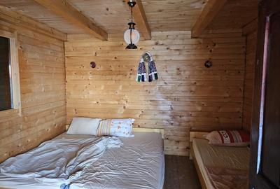 Casa de vacanta cu 6 camere + teren suprafata 7.384 mp, Bradet, Bihor - 16