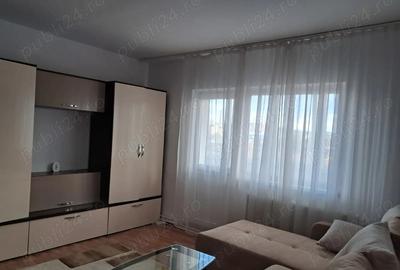 Apartament deosebit cu vedere panoramica, 2 camere, etaj 3 Vitrometan - 6