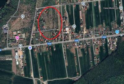 Teren de 3300 mp, în Snagov