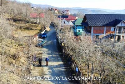 CALIMANESTI, TEREN 1231 MP - 10