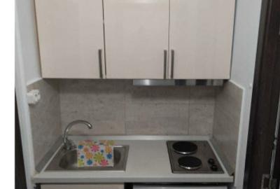 Aparatorii patriei cretestilor dimitrie leonida - 8