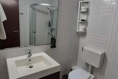 Apartament cu 3 camere decomandat în Herăstrău - 53