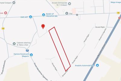 Teren intravilan de 4900 mp, în Ciolpani - 2
