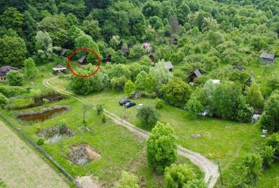 Cabana Bradulet s-a VANDUT - 5