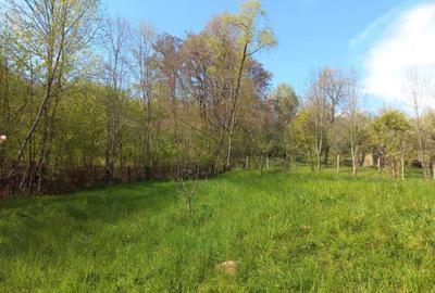 Teren de 1950 mp, în Breaza - 5