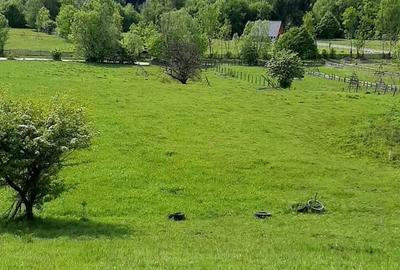 Teren de 3465 mp, în Trăisteni