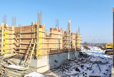 Vile individuale padurea Rosu - 16