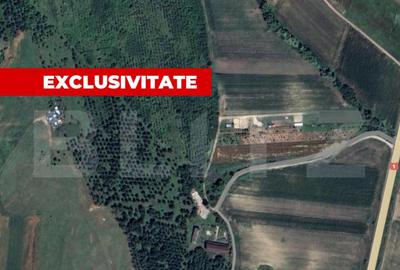 Teren de 5996 mp, în Teiu - 1