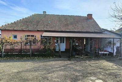 Casă cu 2 camere în Ateaș