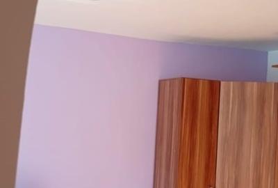 Apartament cu 2 camere decomandat, mobilat în Sebastian - 10