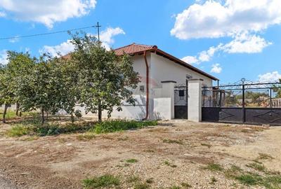 Casă cu 5 camere cu Teren 2834 Mp în Satu Mare - 10