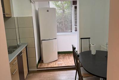 Apartament cu 2 camere semidecomandat în Banat - 4