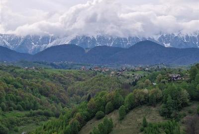 7.000 mp, pozitie spectaculoasa, fara vecini, Fundatica, Brasov - 15