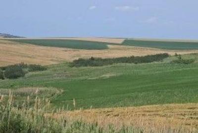 Teren Extravilan Aroneanu, ID: R2577828 - 2