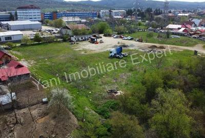 Teren de vanzare inchiriere in Curtea de Arge?. - 13