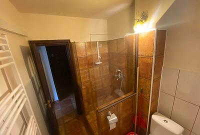 Apartament Piața Centrală, două camere - 16