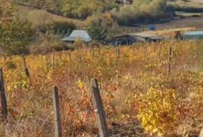 Teren de 10000 mp, în Central