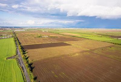 Vindem Teren intravilan ?oseaua Arad-Timi?oara | Destina?ie industriala 700 metri liniari - 2