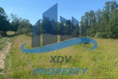 Teren in zona turistica Porumbacu de Sus Teren in zona turistica Porumbacu de Sus - 2