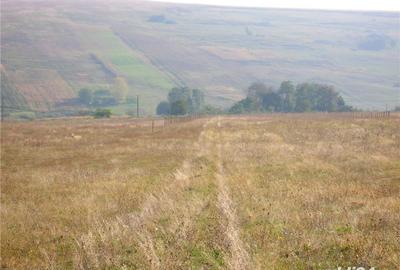 Teren de 9600 mp, în Central - 1