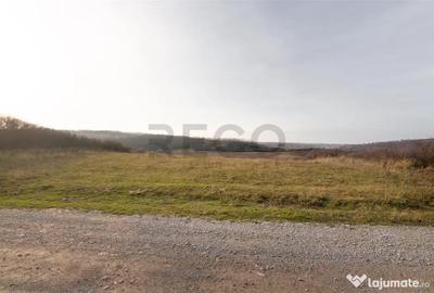Teren de 6895 mp, în Uileacu de Munte - 2