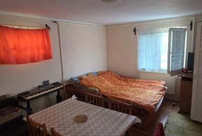 Casă individuală cu 1 camere cu Canalizare în Careiului - 14
