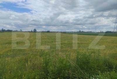 Teren de 6600 mp, în Rădăuți