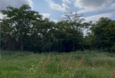 TEREN INTRAVILAN 600 mp Sisesti S+P+7E Sector 1 - 5